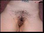 hairy pussy